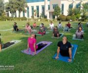 Celebration of 11th international yoga day on 21st June, 2025
